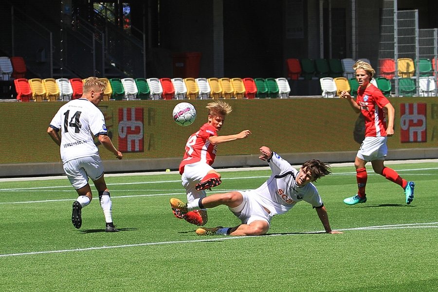 IMG_1118 IMG_1118